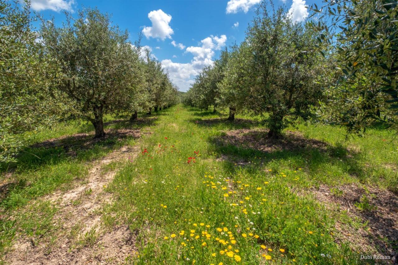 Amikam Meshek 81 משק 81 עמיקם Vila Exterior foto
