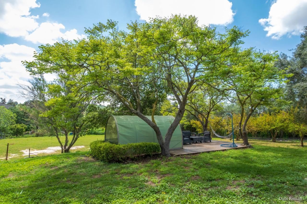 Amikam Meshek 81 משק 81 עמיקם Vila Exterior foto