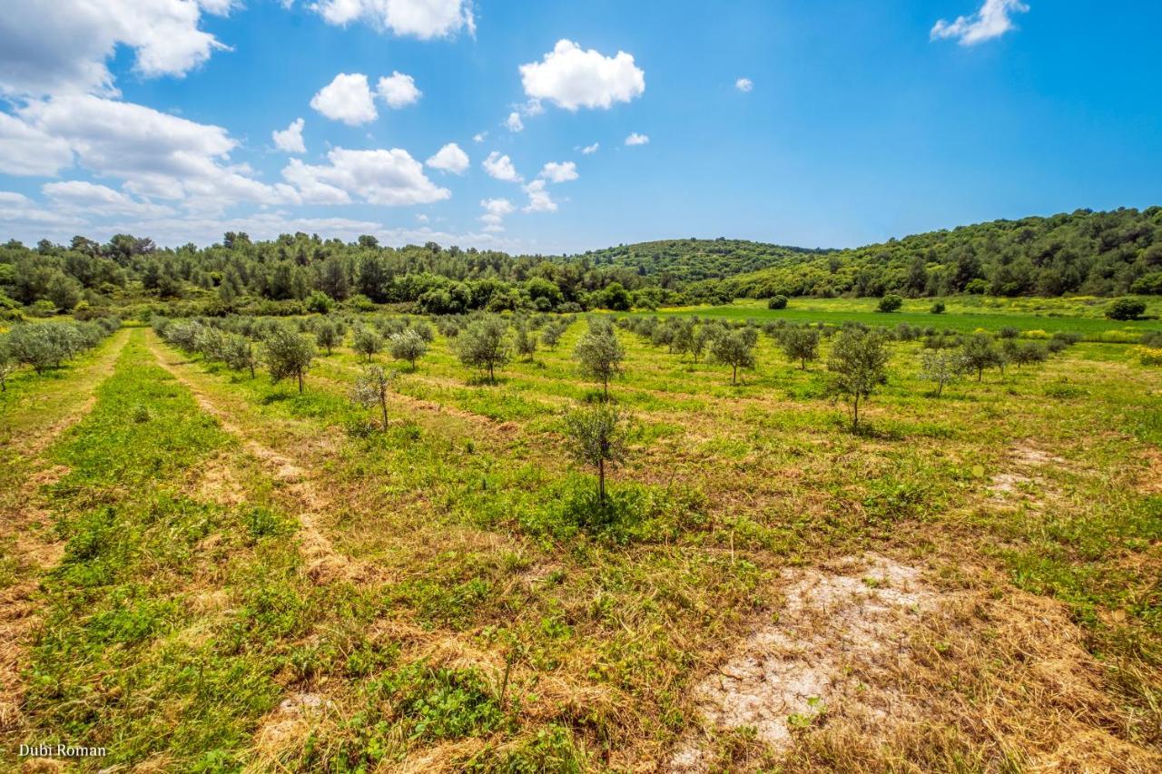 Amikam Meshek 81 משק 81 עמיקם Vila Exterior foto
