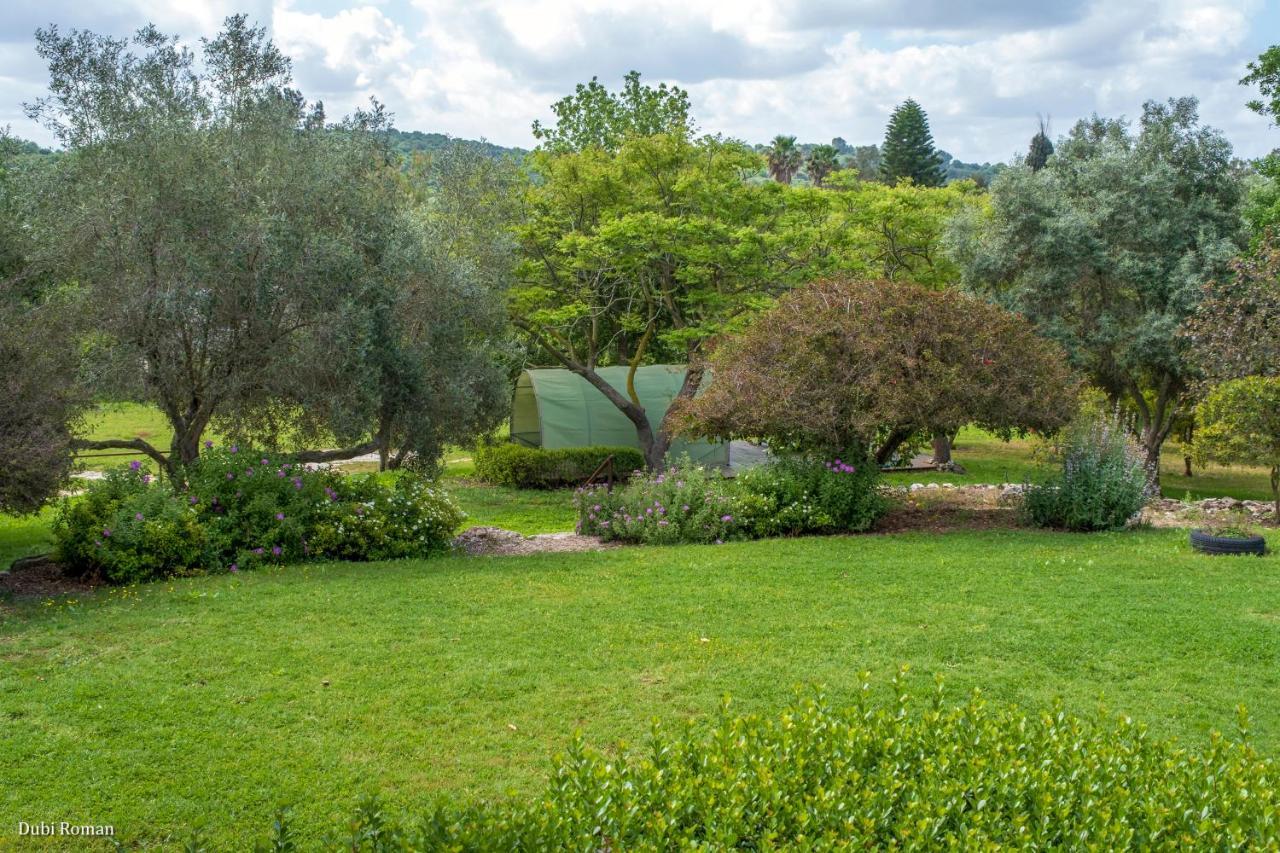 Amikam Meshek 81 משק 81 עמיקם Vila Exterior foto