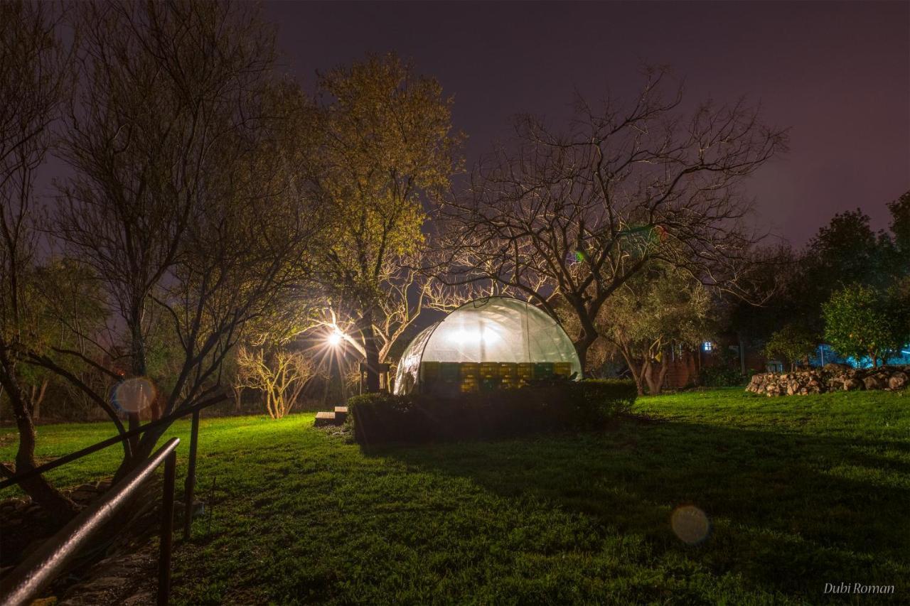 Amikam Meshek 81 משק 81 עמיקם Vila Exterior foto