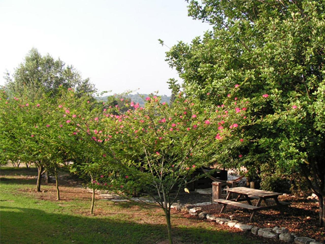 Amikam Meshek 81 משק 81 עמיקם Vila Exterior foto